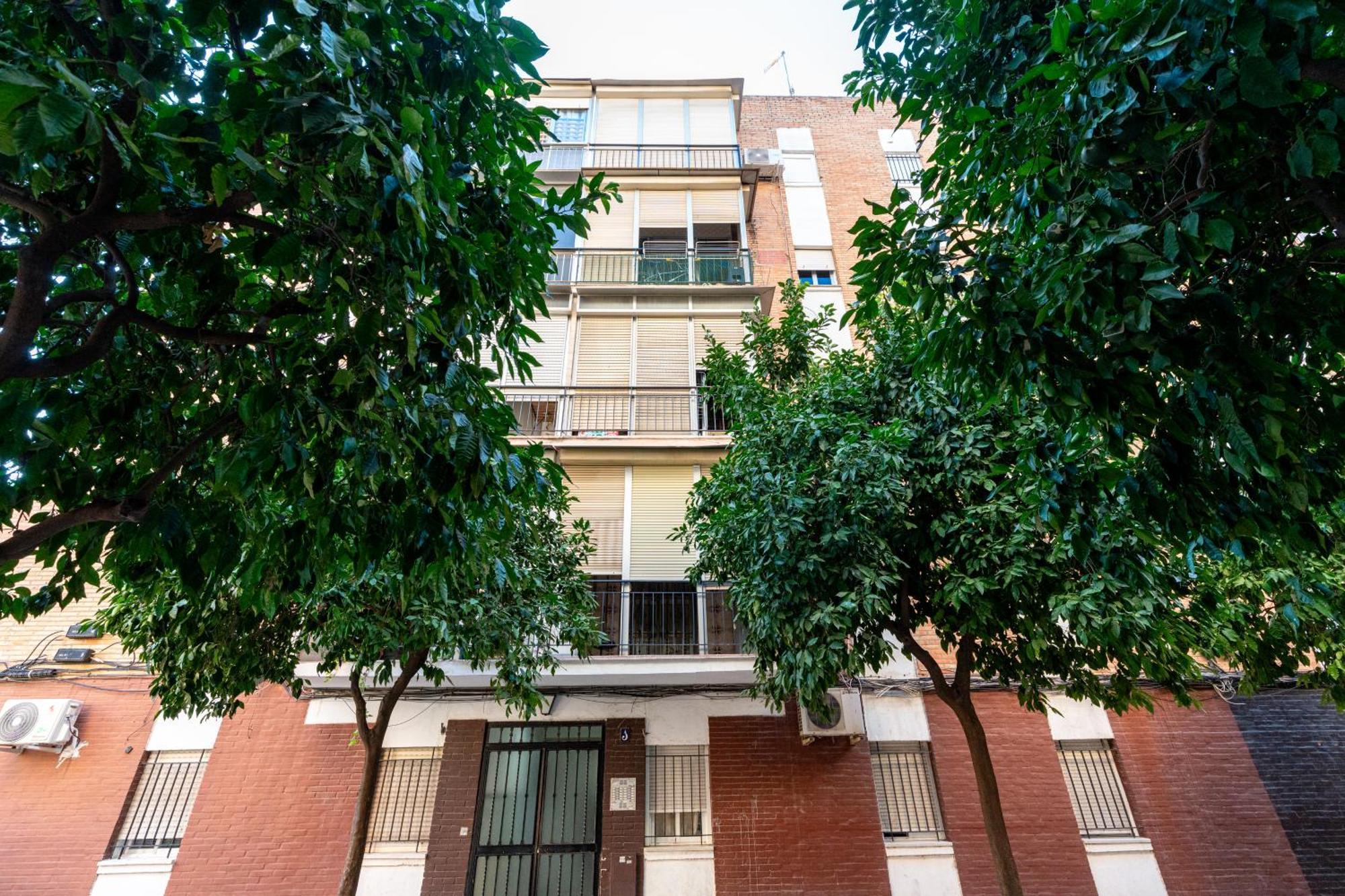 Piso Elegante Y Nuevo De 3 Habitaciones Y 2 Banos Sevilla Exteriér fotografie