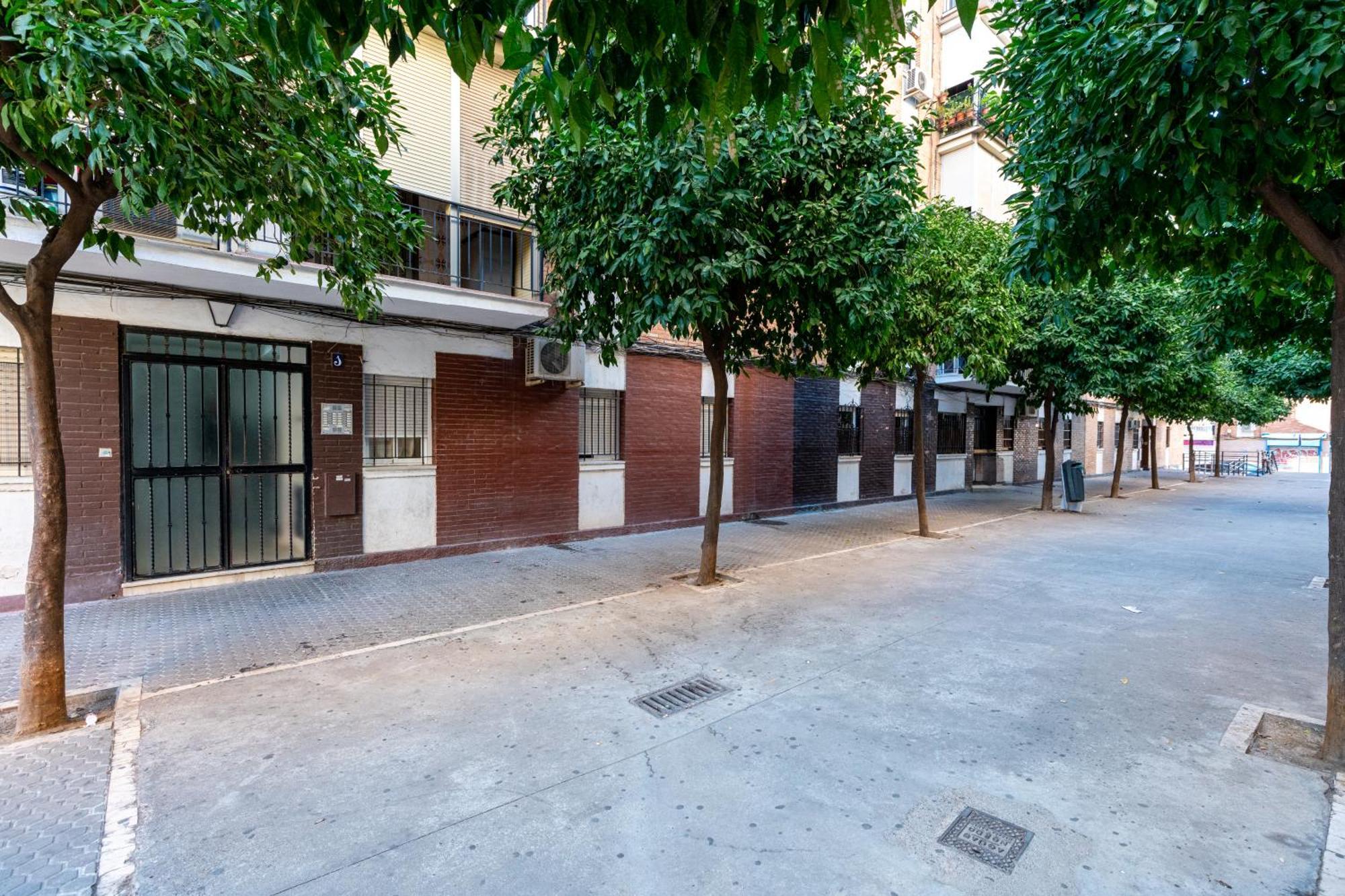 Piso Elegante Y Nuevo De 3 Habitaciones Y 2 Banos Sevilla Exteriér fotografie